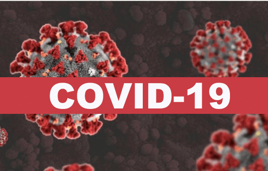 Coronavirus Disease 2019 (Covid-19) Pandemic