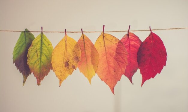 Urine Color Changes: Causes, Diagnosis, Treatment and Risk Factors